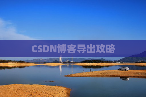 CSDN博客导出攻略